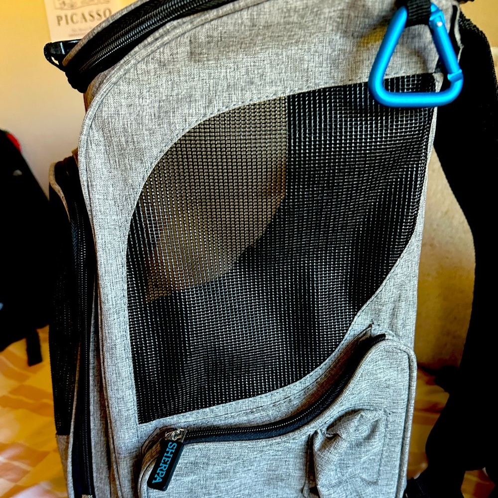 I got this for my kitten and used it twice but she out grew it.